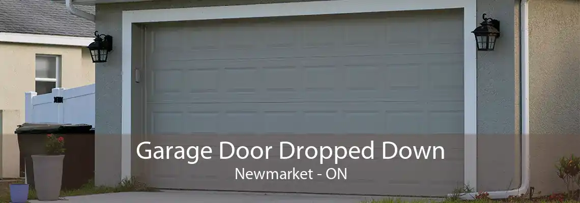 Garage Door Dropped Down Newmarket - ON