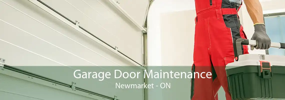 Garage Door Maintenance Newmarket - ON