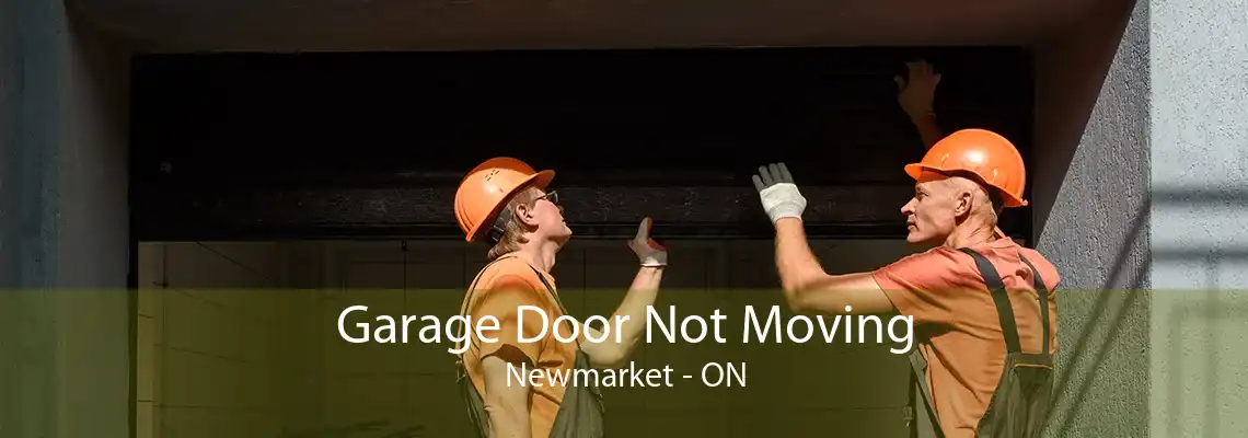 Garage Door Not Moving Newmarket - ON