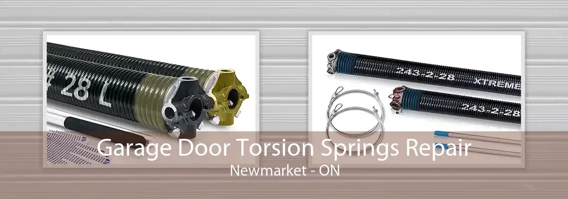 Garage Door Torsion Springs Repair Newmarket - ON