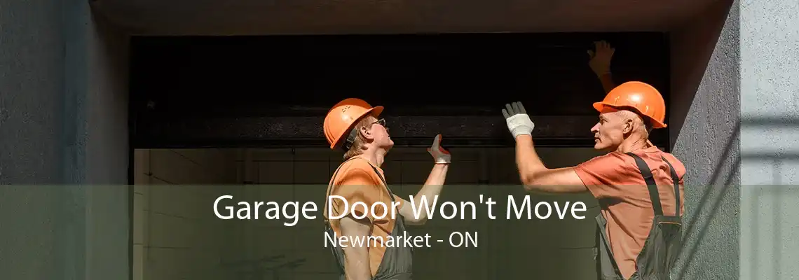 Garage Door Won't Move Newmarket - ON